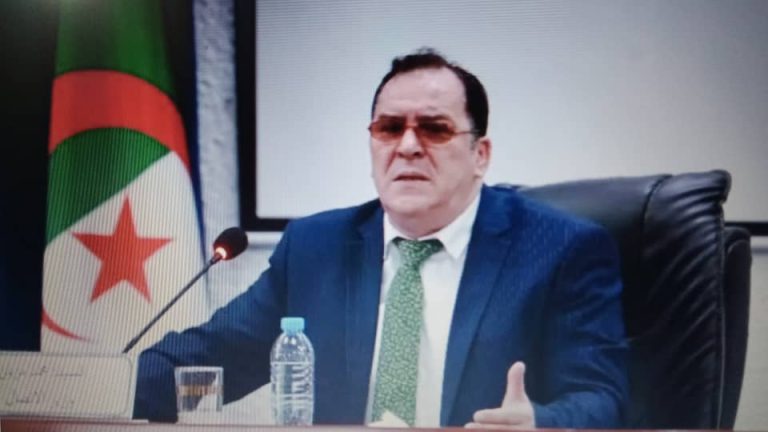  وزير الاتصال محمد مزيان الممارسة الحرة للنشاط الاعلامى تضمنه التشريعات الوطنية