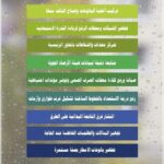 “القابضة للمياه” تناشد بترشيد الاستهلاك خلال سقوط الأمطار