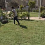 محافظ بورسعيد يوجه يتابع أعمال التشجير وتحسين الصورة البصرية